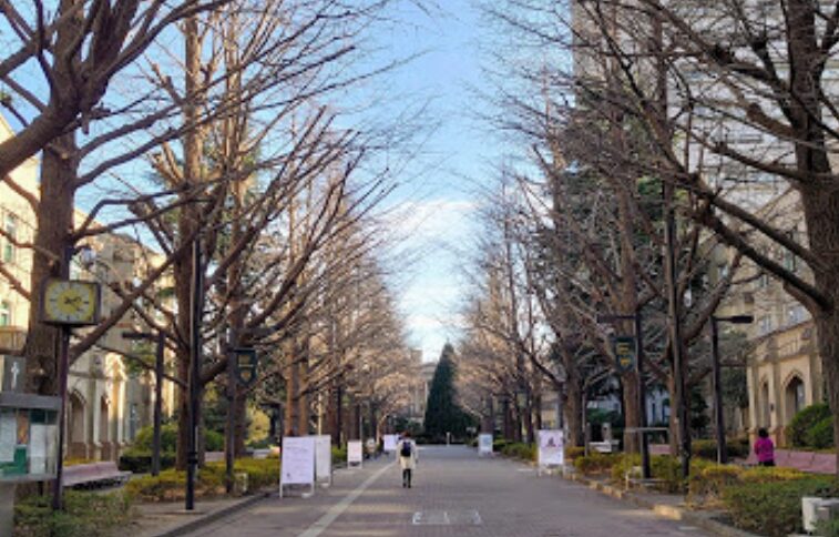 青山学院大学