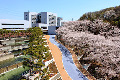 中央大学