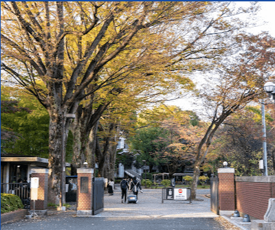 成蹊高等学校